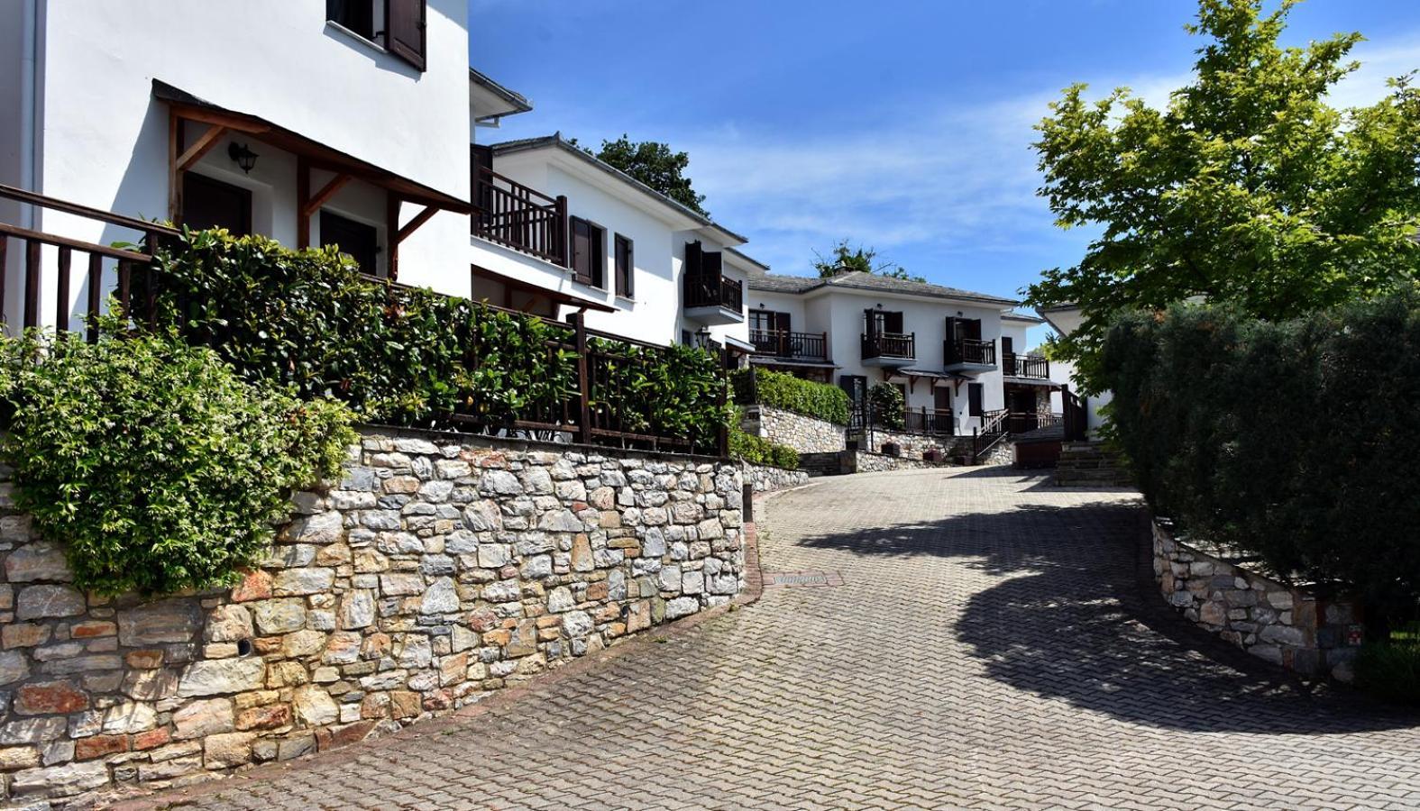 Hotel Pelion Resort Portariá Kültér fotó