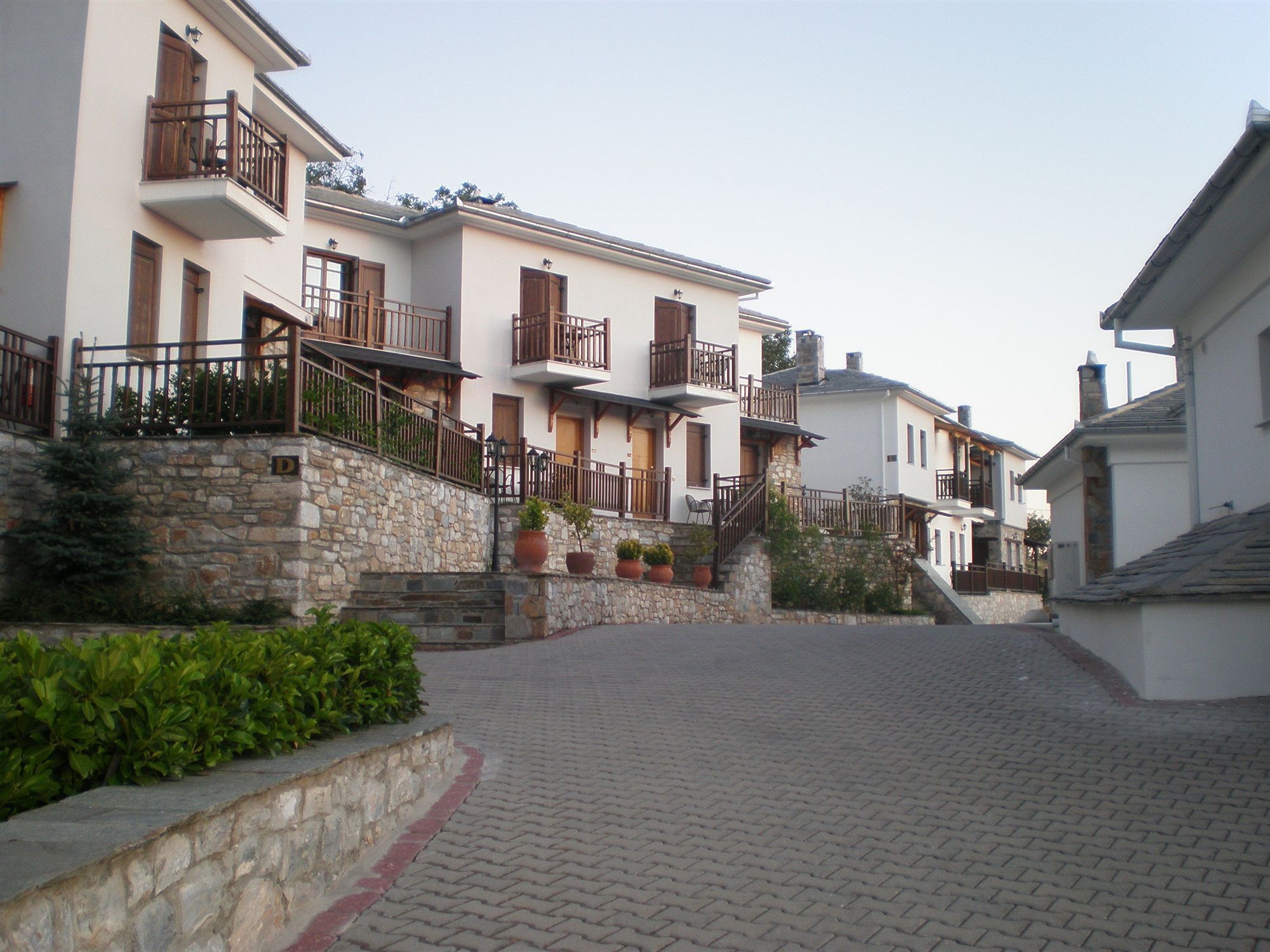 Hotel Pelion Resort Portariá Kültér fotó